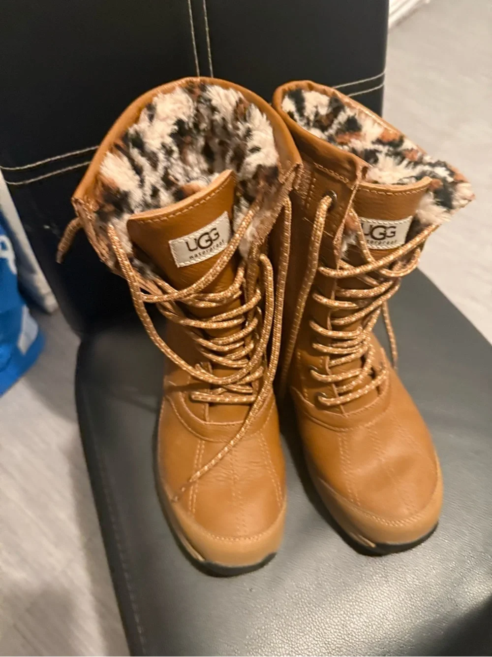 UGG Women's Chestnut Suede and Leather Winter Boots